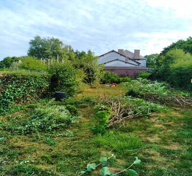 Elagage des arbres près de Saint-Pol-sur-Ternoise